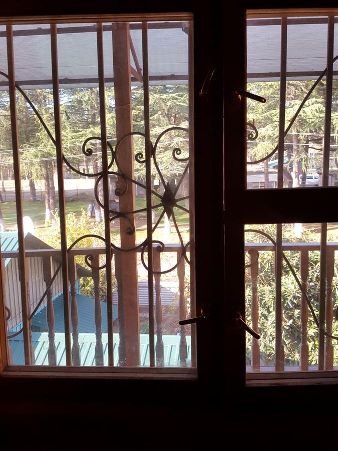 U Iriny Hotel 皮聪达 外观 照片